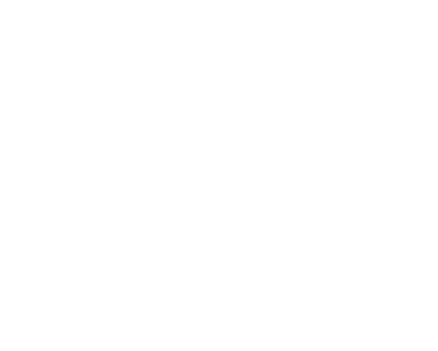 wood stick bg